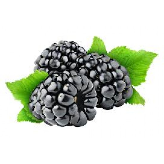 BÖĞÜRTLEN (İTHAL 125 GR) PAKET BÖĞÜRTLEN (İTHAL 125 GR) PAKET