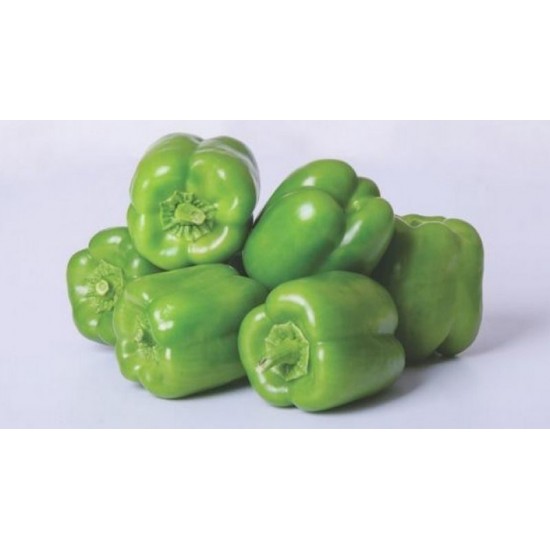 BİBER DOLMA KG BİBER DOLMA KG