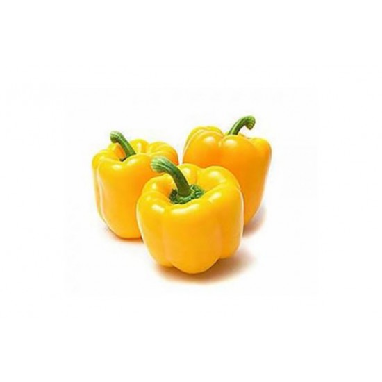 BİBER KALİFORNİA SARI KG BİBER KALİFORNİA SARI KG