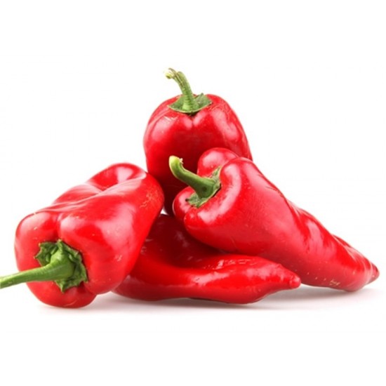 BİBER KAPYA KG BİBER KAPYA KG