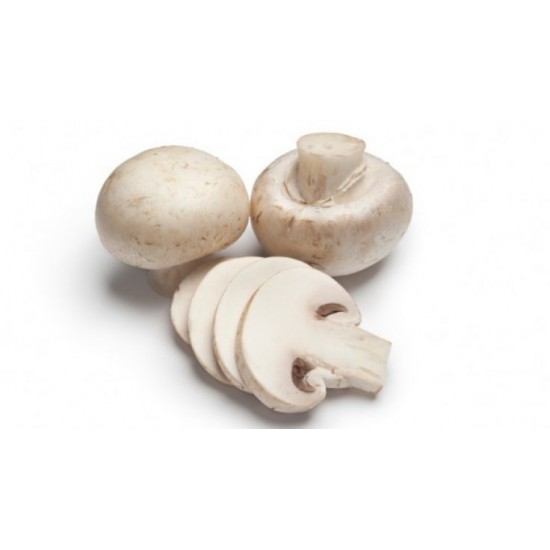 MANTAR (400 GR) PAKET MANTAR (400 GR) PAKET