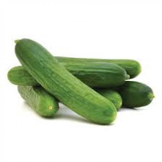 SALATALIK KG SALATALIK KG