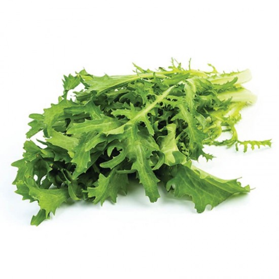 RADİKA (500 GR) PAKET RADİKA (500 GR) PAKET