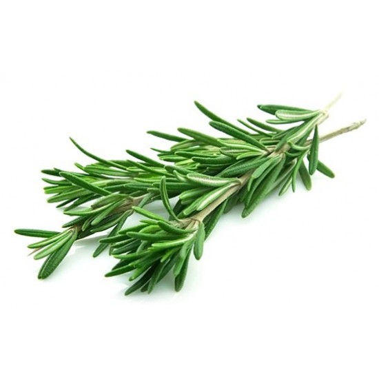 BİBERİYE (25 GR) PAKET BİBERİYE (25 GR) PAKET