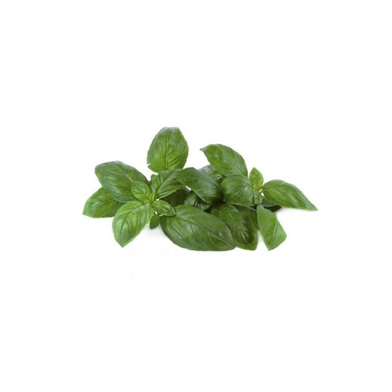FESLEĞEN (25 GR) PAKET FESLEĞEN (25 GR) PAKET