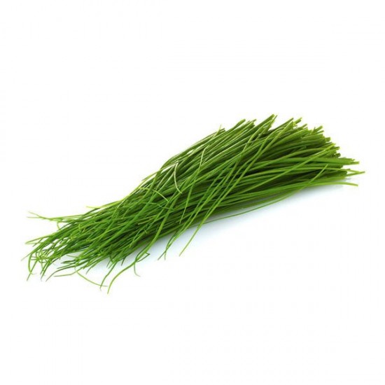 FRENK SOĞAN (25 GR) PAKET FRENK SOĞAN (25 GR) PAKET