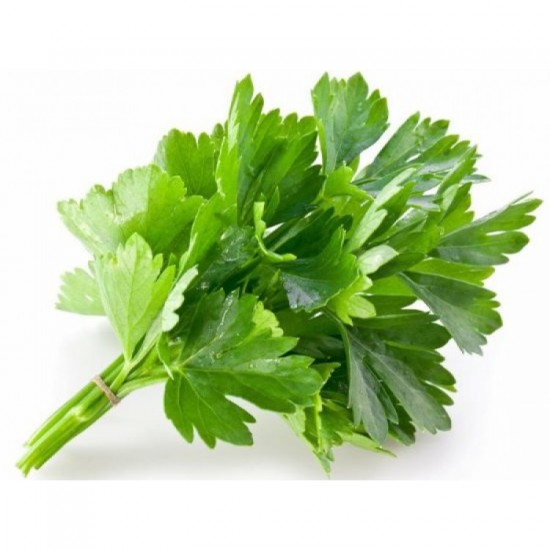 KİŞNİŞ (25 GR) PAKET KİŞNİŞ (25 GR) PAKET