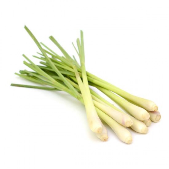 LEMONGRASS PAKET LEMONGRASS PAKET