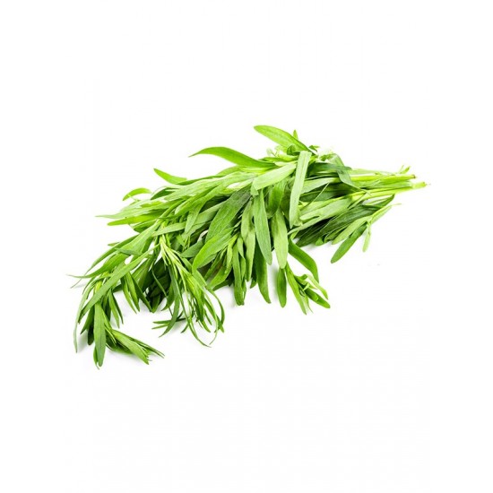 TARHUN OTU (25 GR) PAKET TARHUN OTU (25 GR) PAKET