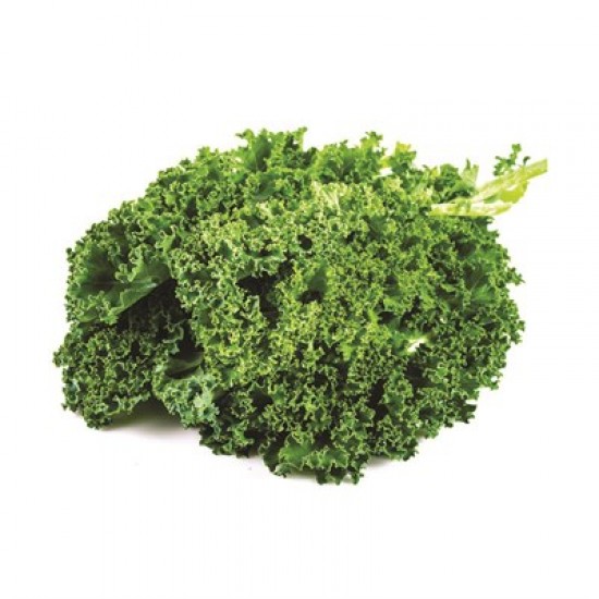 KALE YAPRAĞI (500 GR) PAKET KALE YAPRAĞI (500 GR) PAKET