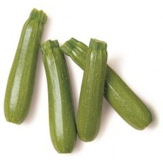 MİNİ KABAK (SARI-SİYAH-YEŞİL) PAKET MİNİ KABAK (SARI-SİYAH-YEŞİL) PAKET