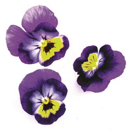 YENİLEBİLİR ÇİÇEK (MOR - SARI - BEYAZ) PAKET YENİLEBİLİR ÇİÇEK (MOR - SARI - BEYAZ) PAKET